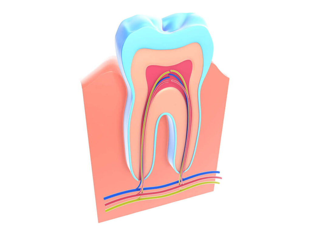 Illustration of root canal treatment dental service